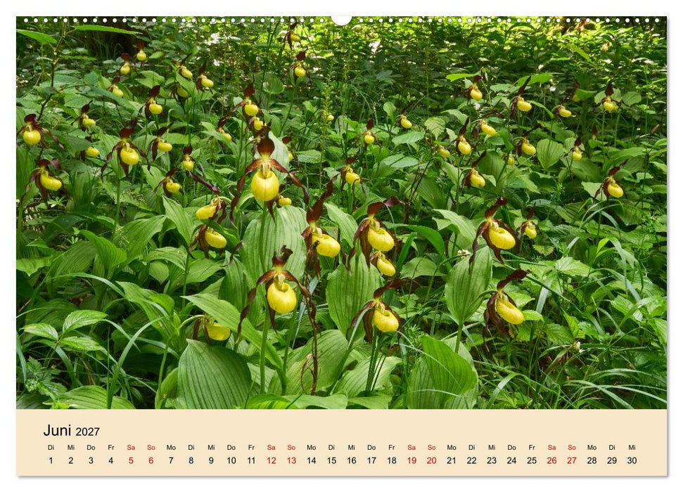 Franken - eine Region voller Naturwunder (CALVENDO Wandkalender 2027)