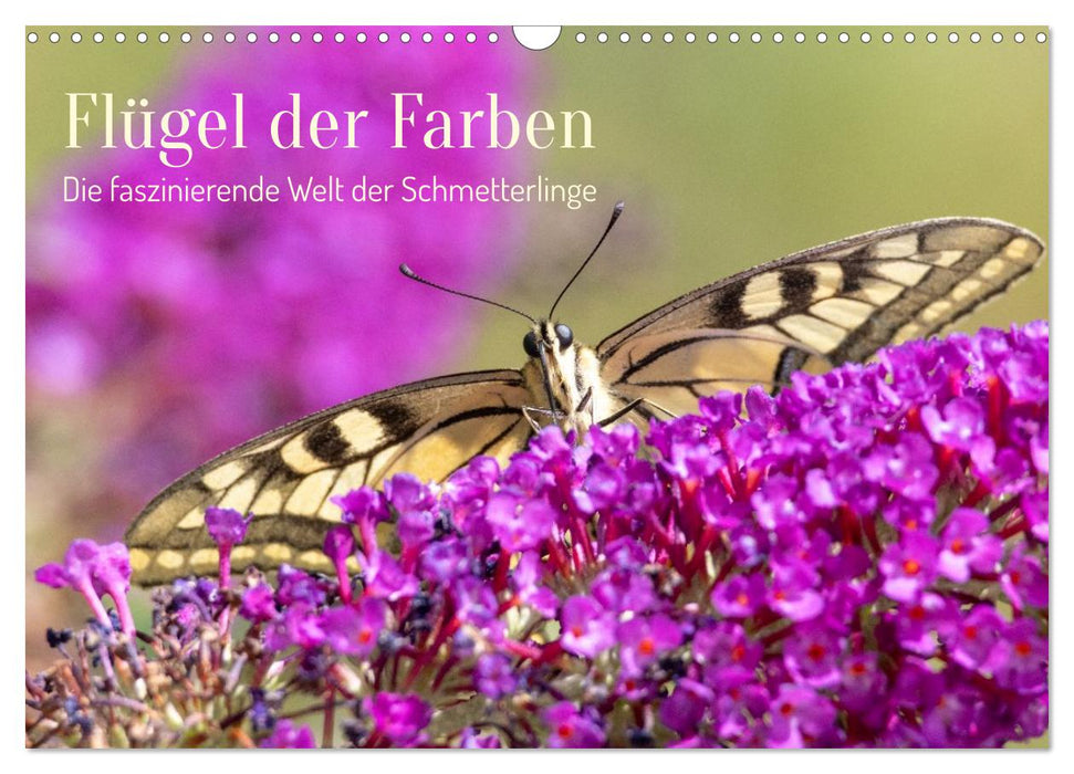 Flügel der Farben – Die faszinierende Welt der Schmetterlinge (CALVENDO Wandkalender 2027)
