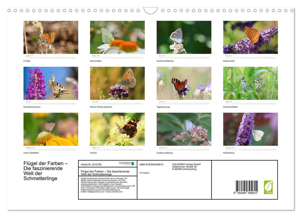 Flügel der Farben – Die faszinierende Welt der Schmetterlinge (CALVENDO Wandkalender 2027)