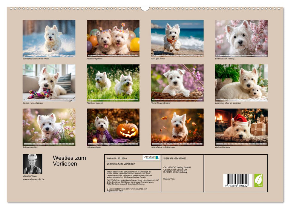Westies zum Verlieben (CALVENDO Premium Wandkalender 2027)