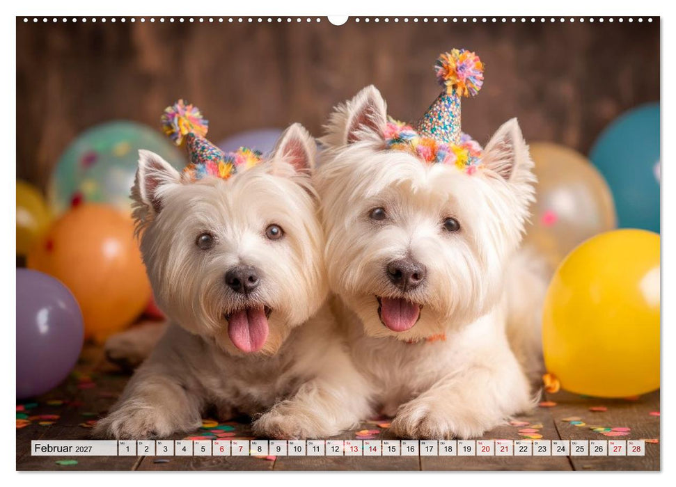 Westies zum Verlieben (CALVENDO Premium Wandkalender 2027)