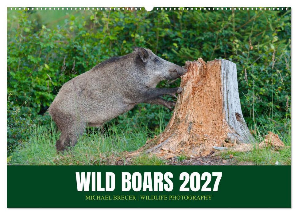 Wild Boars (CALVENDO Monthly Calendar 2027)