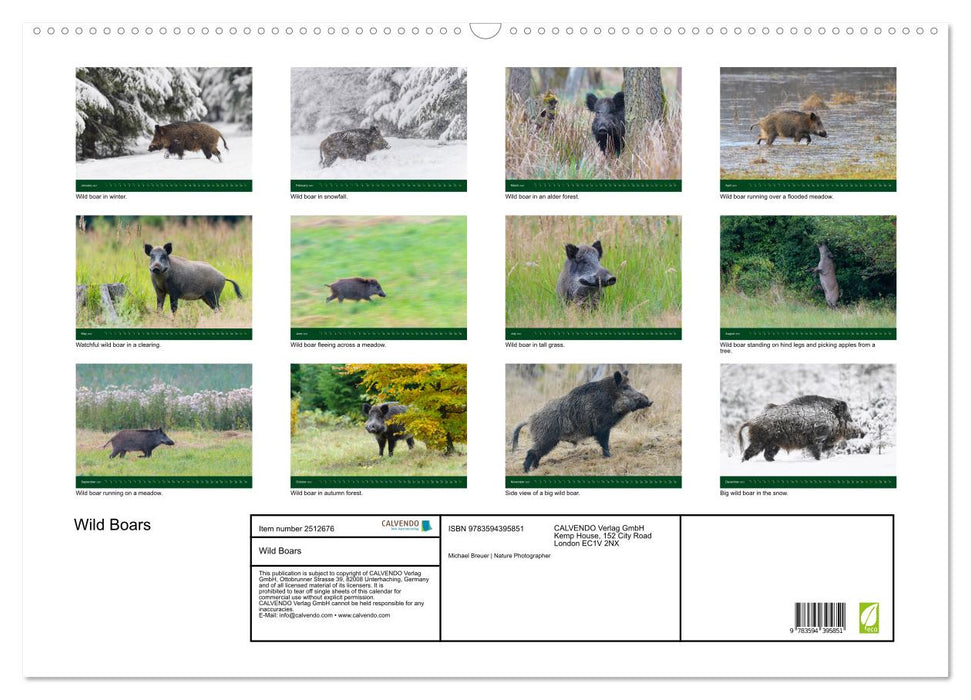 Wild Boars (CALVENDO Monthly Calendar 2027)