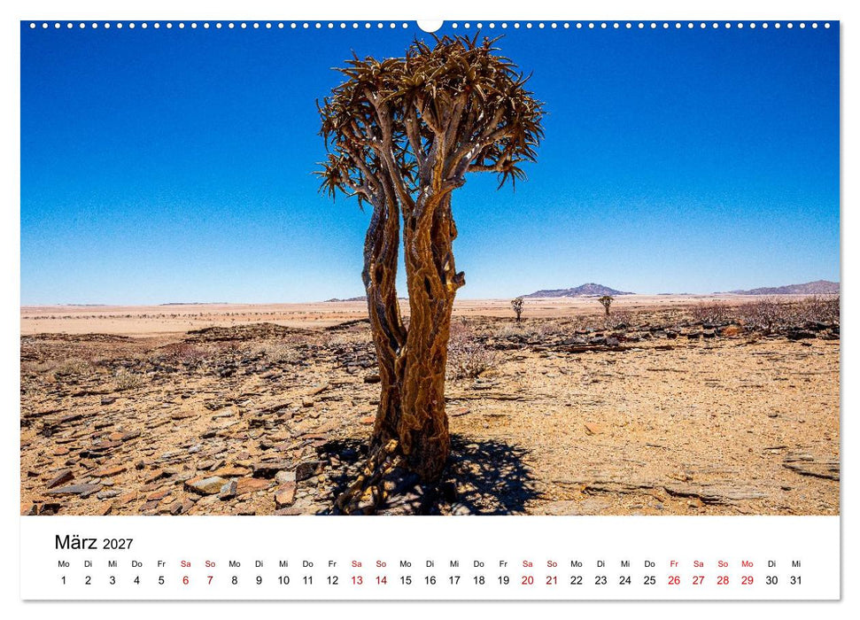 Namibia - Faszination Wüste (CALVENDO Wandkalender 2027)
