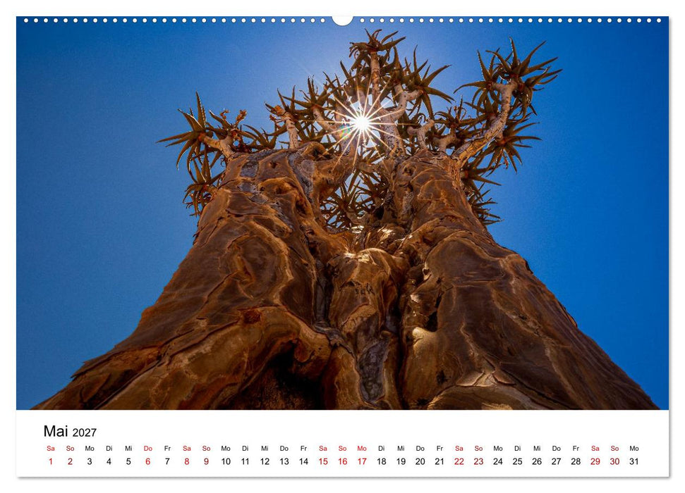 Namibia - Faszination Wüste (CALVENDO Wandkalender 2027)