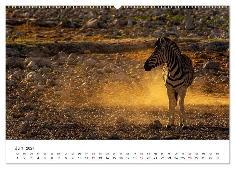 Namibia - Faszination Wüste (CALVENDO Wandkalender 2027)