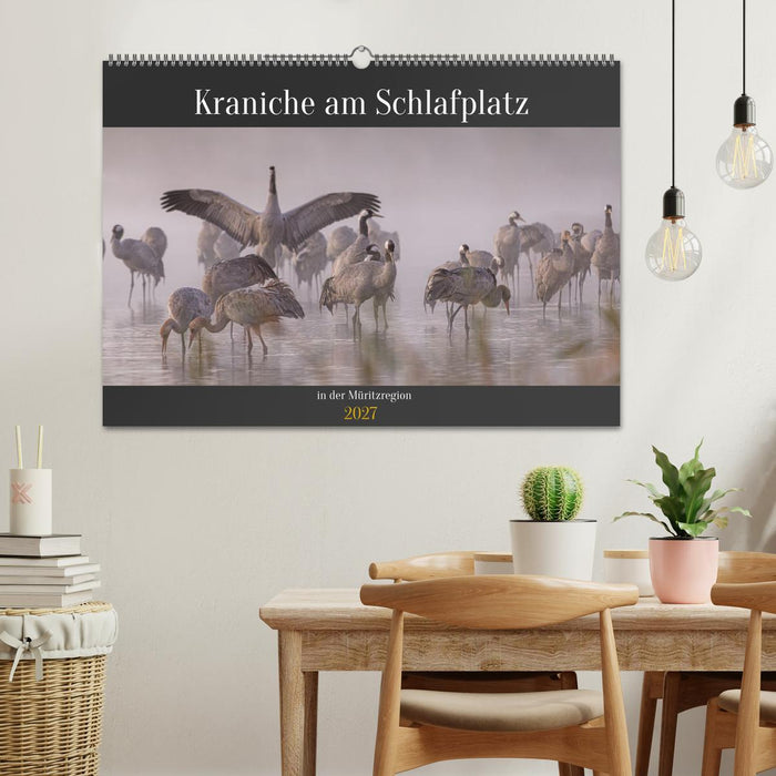 Kraniche am Schlafplatz in der Müritzregion (CALVENDO Wandkalender 2027)