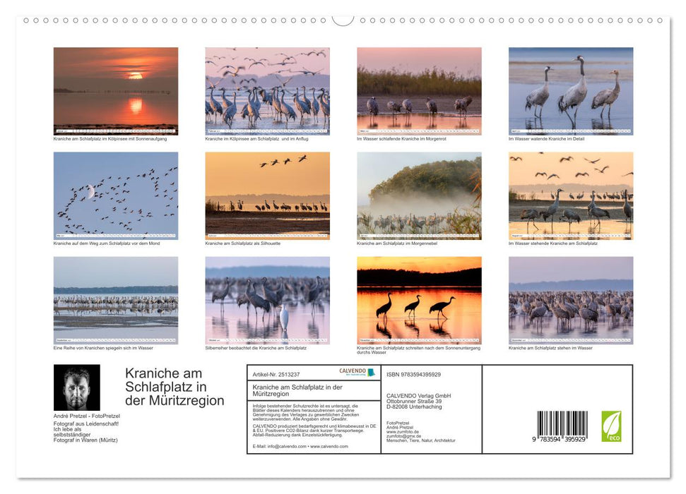 Kraniche am Schlafplatz in der Müritzregion (CALVENDO Wandkalender 2027)