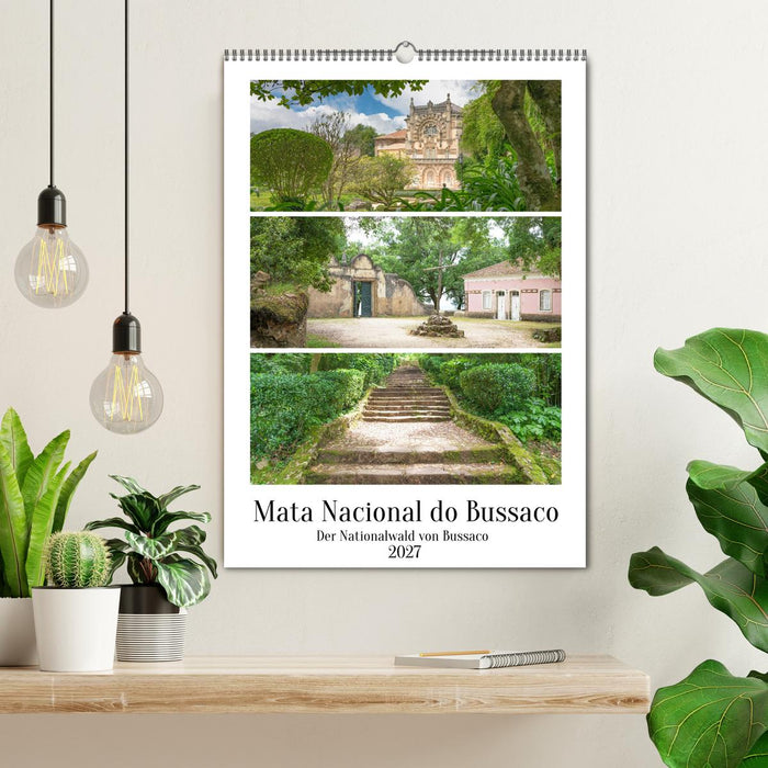 Mata Nacional do Bussaco (CALVENDO Wandkalender 2027)
