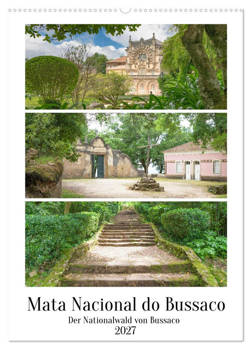Mata Nacional do Bussaco (CALVENDO Wandkalender 2027)