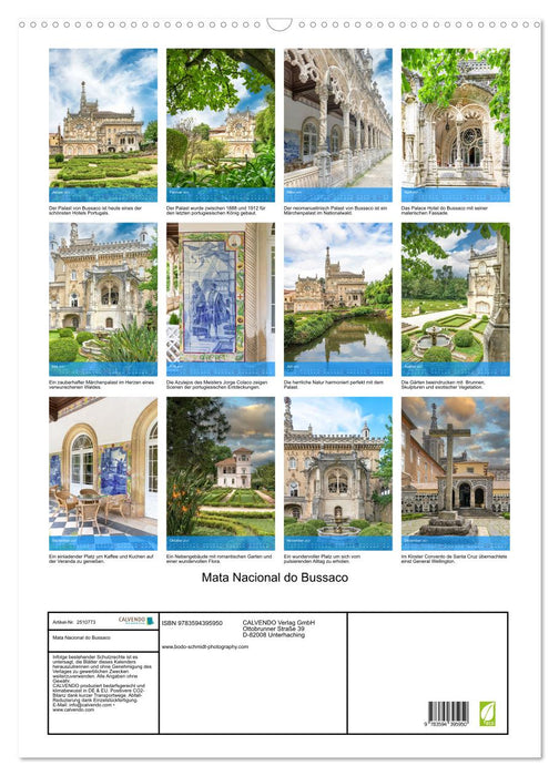 Mata Nacional do Bussaco (CALVENDO Wandkalender 2027)