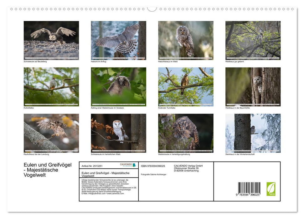 Eulen und Greifvögel - Majestätische Vogelwelt (CALVENDO Premium Wandkalender 2027)