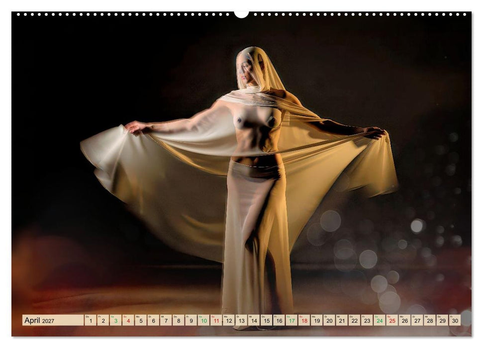 Fine Art Aktporträt (CALVENDO Premium Wandkalender 2027)