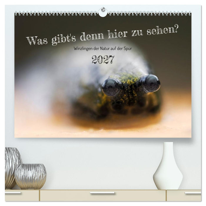 Was gibt's denn hier zu sehen? (CALVENDO Premium Wandkalender 2027)