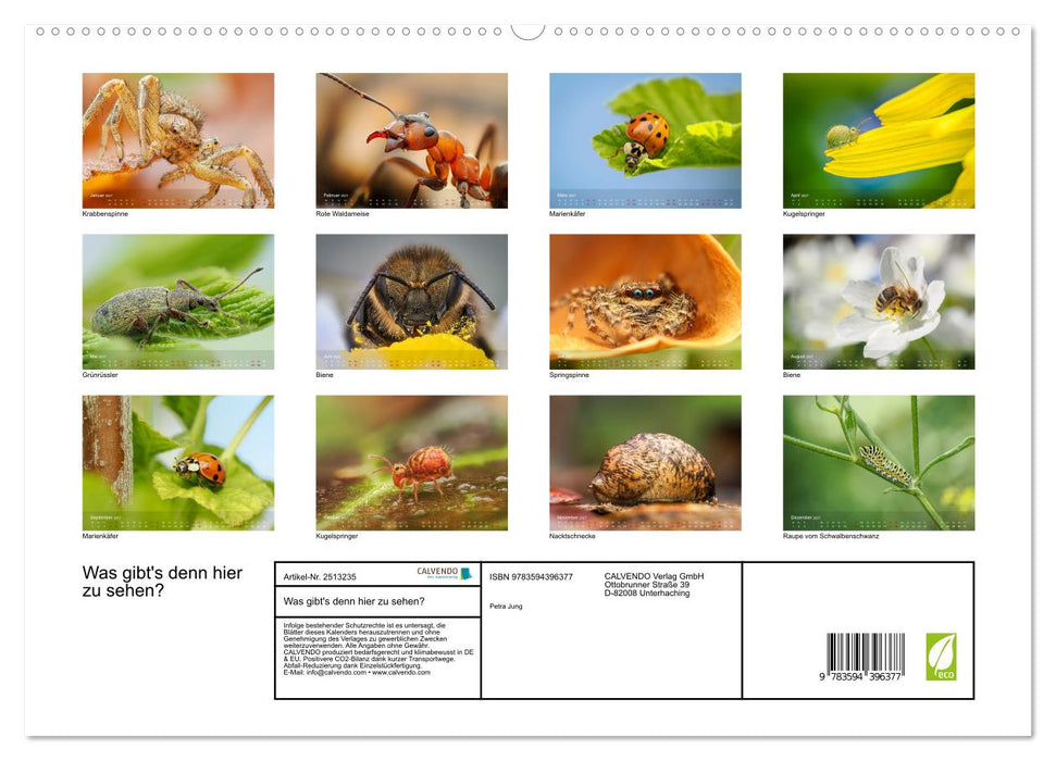 Was gibt's denn hier zu sehen? (CALVENDO Premium Wandkalender 2027)