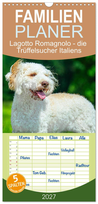 Lagotto Romagnolo - die Trüffelsucher Italiens (CALVENDO Familienplaner 2027)