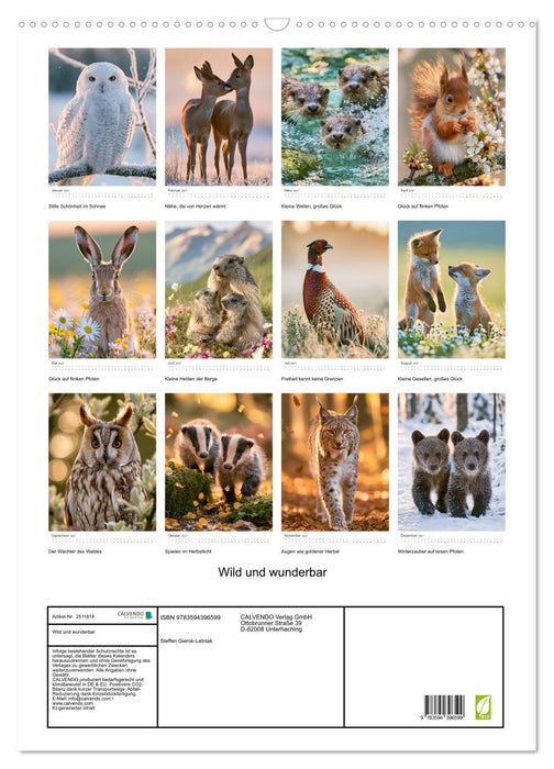 Wild und wunderbar (CALVENDO Wandkalender 2027)