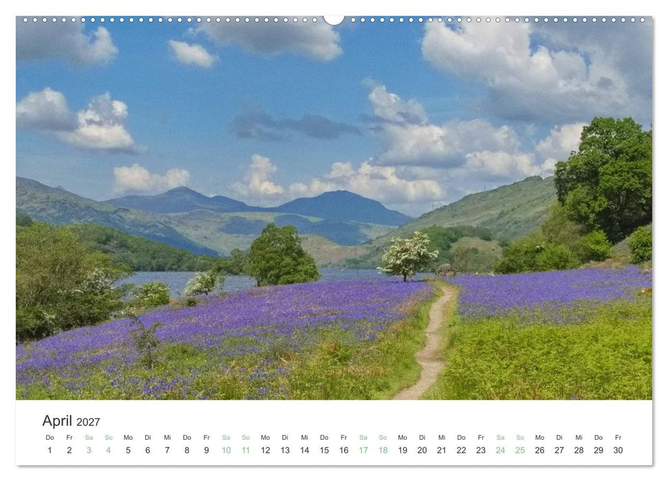 West Highland Love Kalender (CALVENDO Wandkalender 2027)