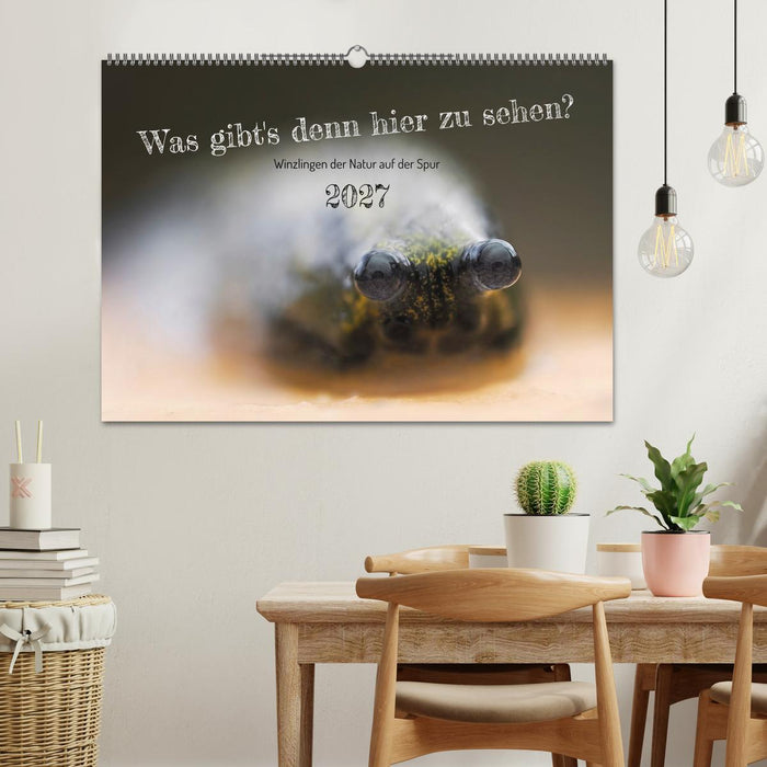 Was gibt's denn hier zu sehen? (CALVENDO Wandkalender 2027)