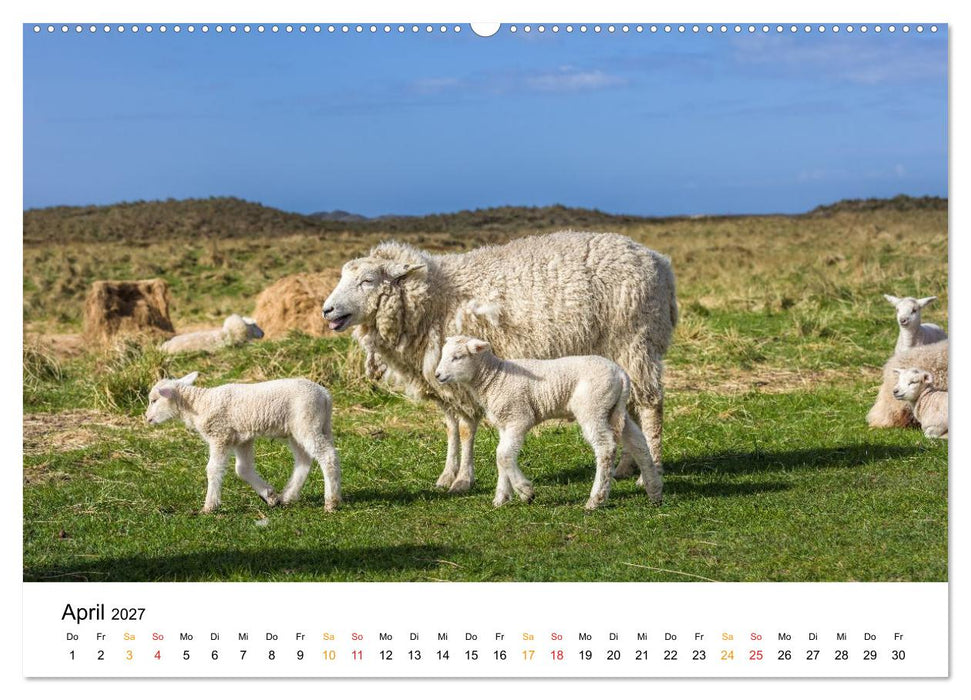 Sylt - Meine Trauminsel (CALVENDO Wandkalender 2027)