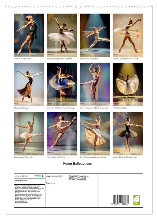 Feine Ballettposen (CALVENDO Premium Wandkalender 2027)