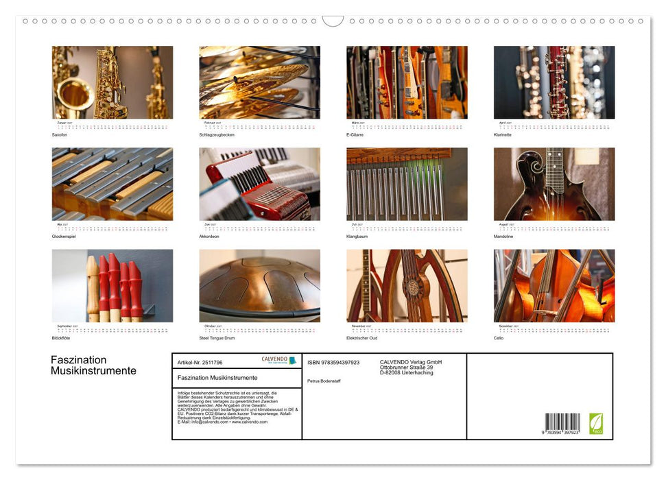 Faszination Musikinstrumente (CALVENDO Wandkalender 2027)