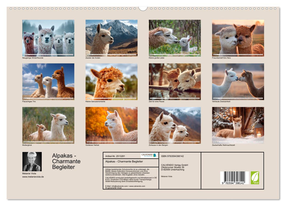 Alpakas - Charmante Begleiter (CALVENDO Wandkalender 2027)