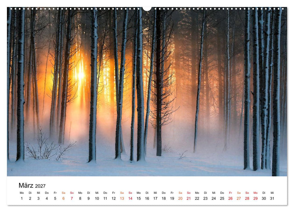 Sonnenjahr (CALVENDO Premium Wandkalender 2027)