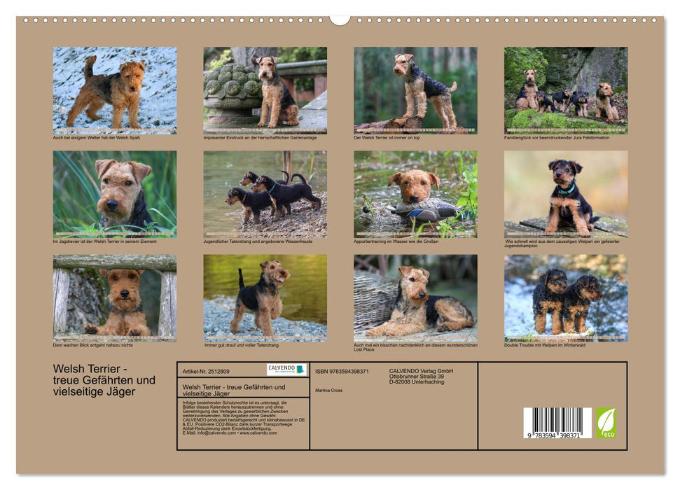 Welsh Terrier - treue Gefährten und vielseitige Jäger (CALVENDO Premium Wandkalender 2027)