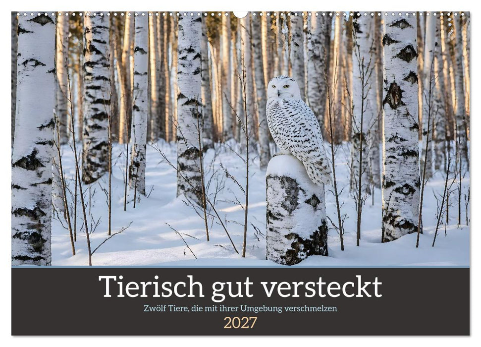 Tierisch gut versteckt - Zwölf Tiere, die mit ihrer Umgebung verschmelzen (CALVENDO Wandkalender 2027)