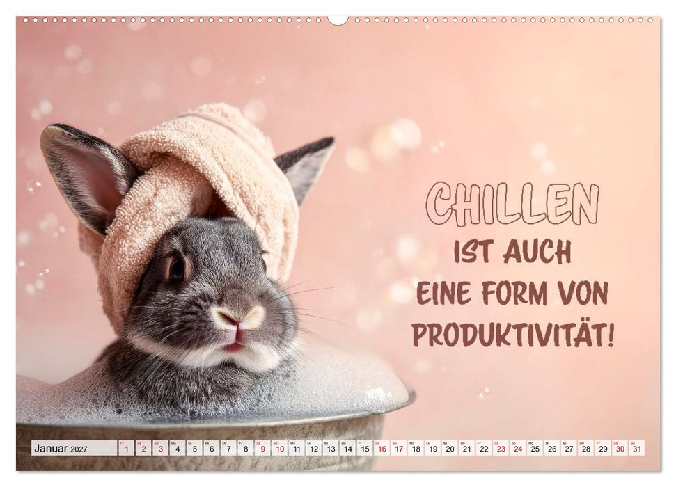 Kaninchen - Hoppel dich locker (CALVENDO Premium Wandkalender 2027)