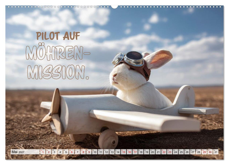 Kaninchen - Hoppel dich locker (CALVENDO Premium Wandkalender 2027)