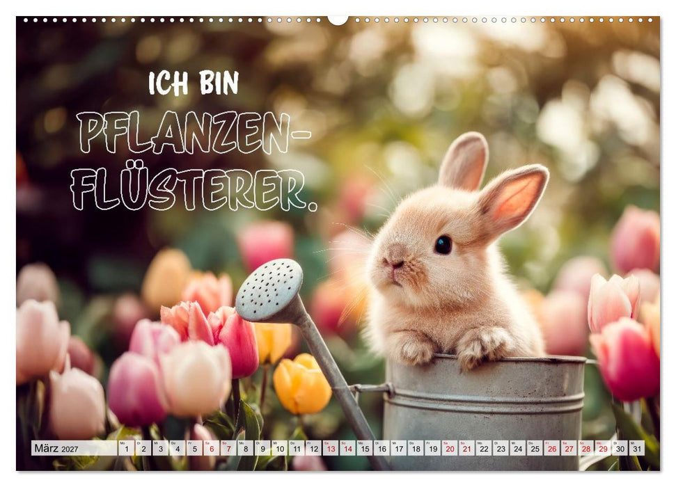Kaninchen - Hoppel dich locker (CALVENDO Wandkalender 2027)