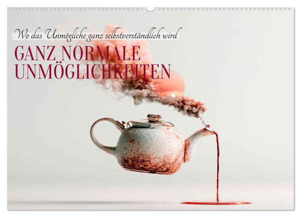GANZ NORMALE UNMÖGLICHKEITEN (CALVENDO Wandkalender 2027)