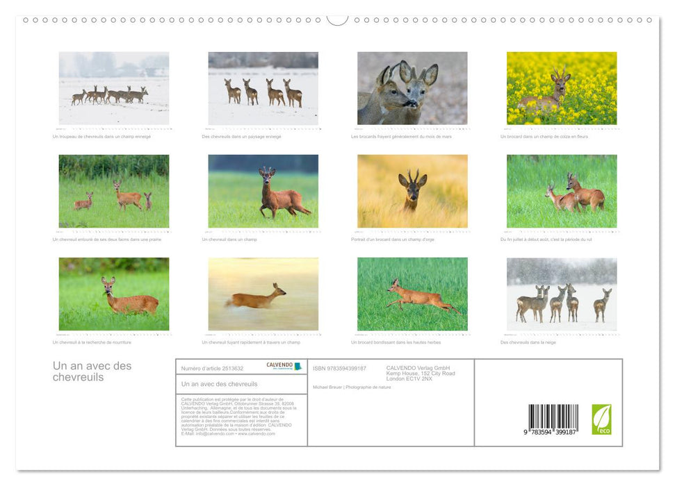 Un an avec des chevreuils (CALVENDO Calendrier supérieur 2027)
