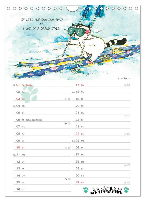 Kater Jacob: kleine Katzenweisheiten (CALVENDO Wandkalender 2027)