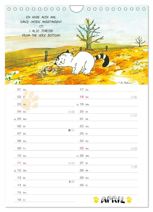 Kater Jacob: kleine Katzenweisheiten (CALVENDO Wandkalender 2027)