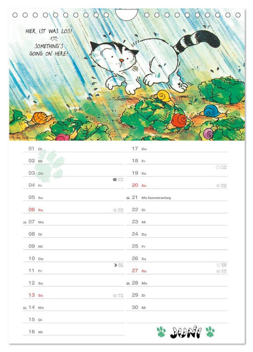 Kater Jacob: kleine Katzenweisheiten (CALVENDO Wandkalender 2027)