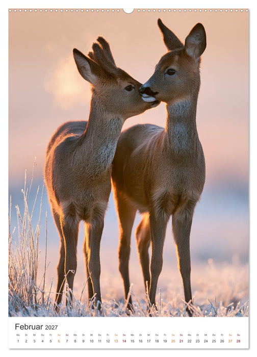 Wild und wunderbar (CALVENDO Premium Wandkalender 2027)