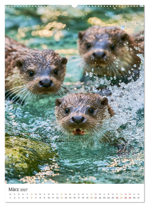 Wild und wunderbar (CALVENDO Premium Wandkalender 2027)