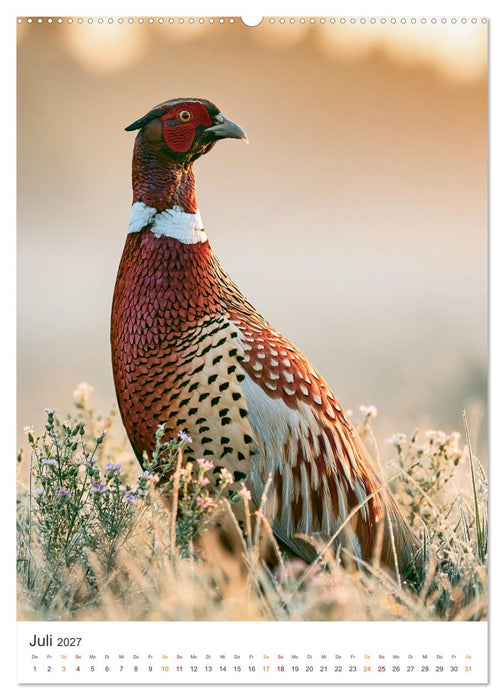 Wild und wunderbar (CALVENDO Premium Wandkalender 2027)