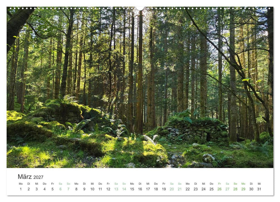West Highland Love Kalender (CALVENDO Premium Wandkalender 2027)