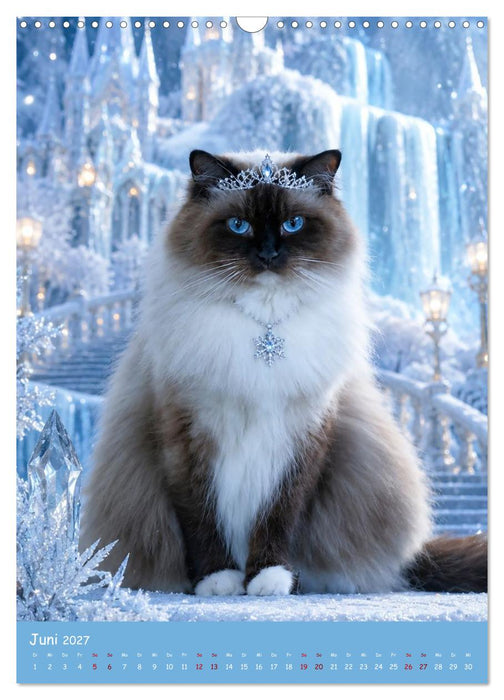 Fantasy Katzen (CALVENDO Wandkalender 2027)