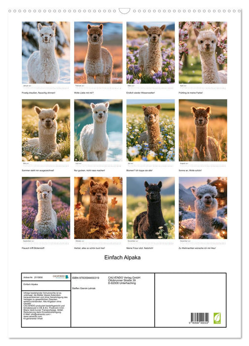Einfach Alpaka (CALVENDO Wandkalender 2027)