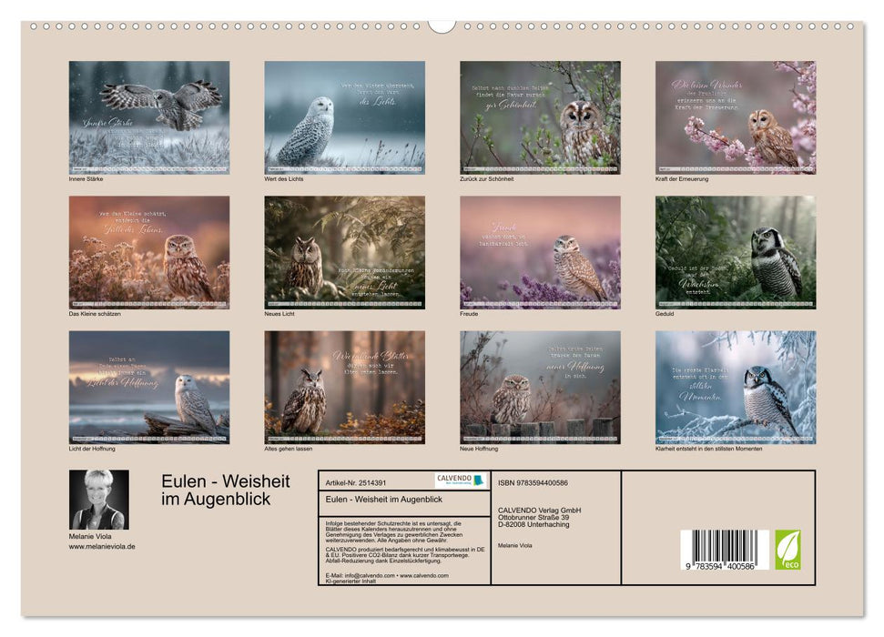 Eulen - Weisheit im Augenblick (CALVENDO Premium Wandkalender 2027)