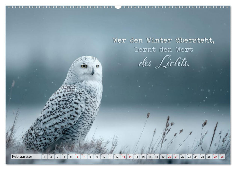 Eulen - Weisheit im Augenblick (CALVENDO Premium Wandkalender 2027)