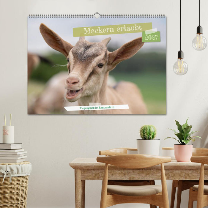 Meckern erlaubt - Ziegenglück im Rampenlicht (CALVENDO Wandkalender 2027)
