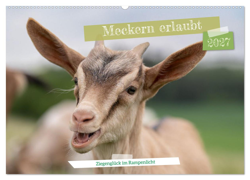 Meckern erlaubt - Ziegenglück im Rampenlicht (CALVENDO Wandkalender 2027)