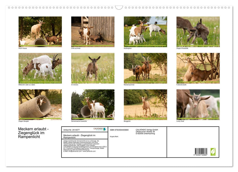 Meckern erlaubt - Ziegenglück im Rampenlicht (CALVENDO Wandkalender 2027)