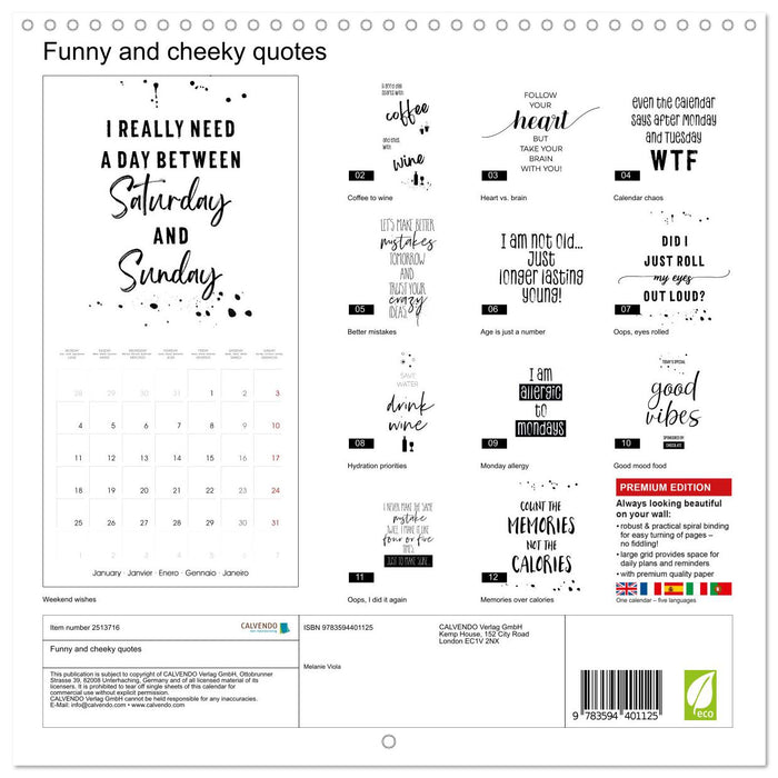 Funny and cheeky quotes (CALVENDO Monthly Calendar 2027)